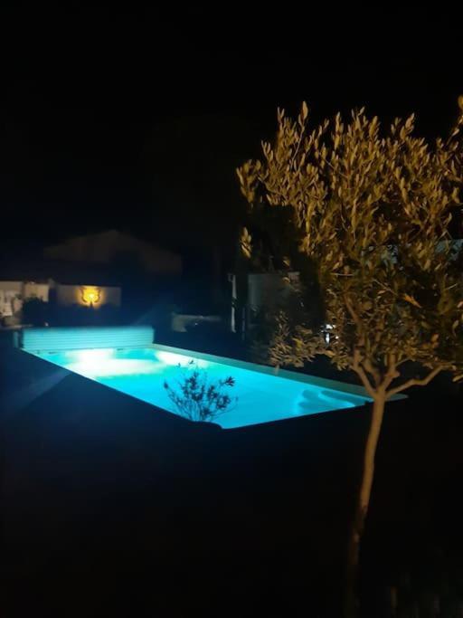 Joli Studio Au Coeur De La Provence Verte Saint-Maximin Dış mekan fotoğraf
